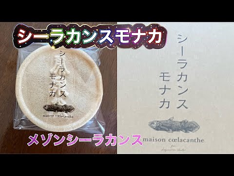 シーラカンスモナカを初めて実食#仙台市#仙台#メゾンシーラカンス#シーラカンスモナカ#羽生結弦#スイーツ