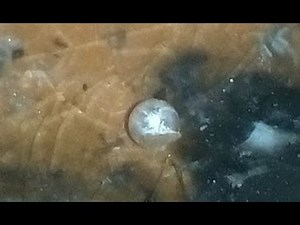 Platinum recovery from Hdd plates part 2