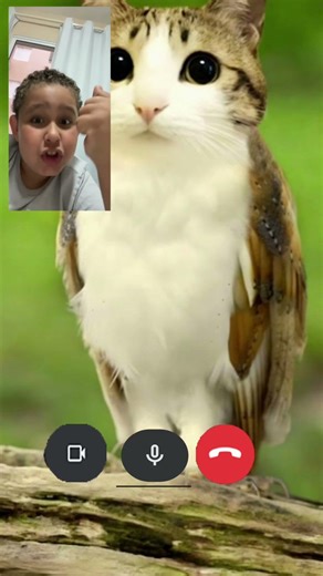 Gameeeeeeee!!!!!!!!!!