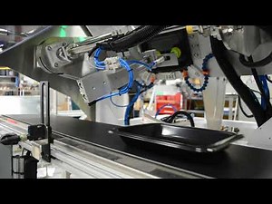 Pineberry Automated Tray Denester stacking food trays