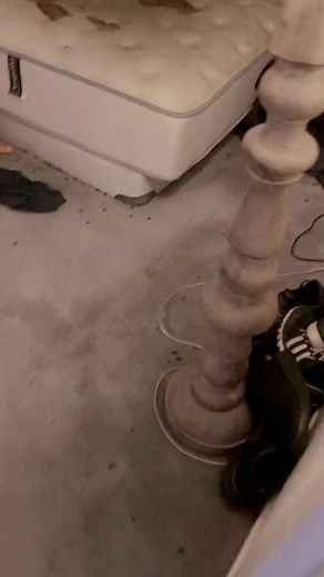 TikTokで田谷らはさんをチェック！