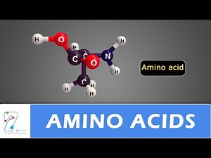 AMINO ACIDS_PART 01