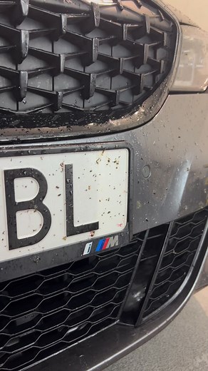 58K views · 337 reactions | ADBL beetle Juice Squeezer 烈烈烈 #adbl #carcare | ADBL | Facebook