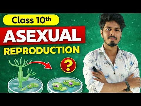 Asexual Reproduction | Class 10 Science | NCERT Explained | By Hassan Sir