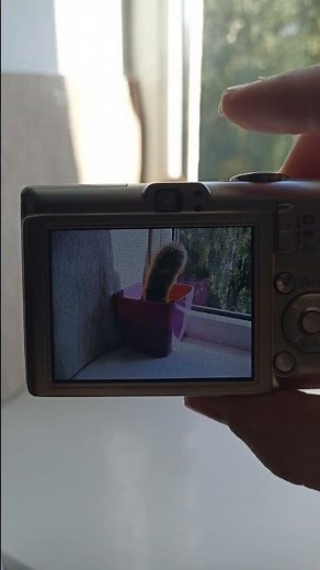 💥Camera digital Canon IXUS 55💥