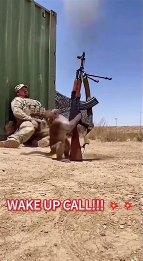 The loudest alarm clock ever 🐒🔔 #GeneralGlitch