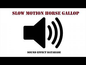 Slow Motion Horse Gallop Sound Effect
