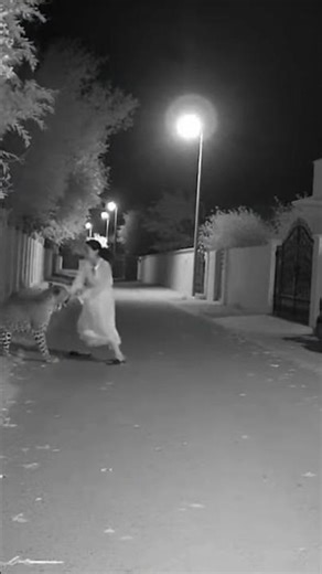 CCTV captures leopard attacking woman on quiet street | AI Wildlife Footage #ai #shorts #leopard