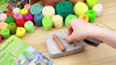 Yizzvb Needle Felting Kit, 6 Pcs Succulent Felting Kit for Beginner, Felting Kit, Needle Felting Tools Including Wool Roving, Foam Mat, Felting Needles and Instructions for DIY Felting Starters