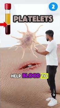 Blood components - Biology class