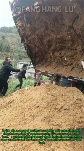 Truck Unloading: Dumping Wood Chips for Reuse #Shorts #WoodChipHandling #ConstructionWasteRecycling