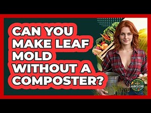 Can You Make Leaf Mold Without A Composter?