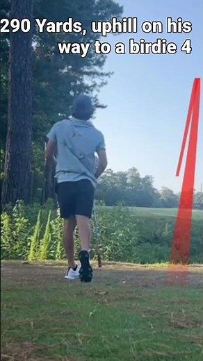 Driver Swing - Master Count Yogi Golf Artist