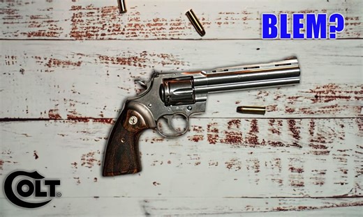 What Makes Blem Colts Different? (Why A Blem Colt Might Be For You)