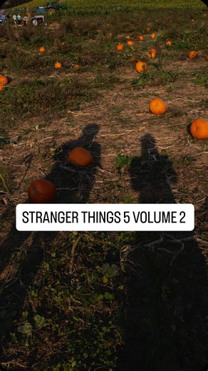 Callie Winters on Instagram: "some little spoilers for stranger things 5 volume 2"