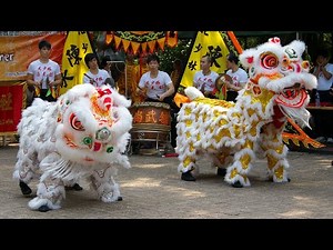 Lion Dance - Chinese New Year - 舞狮 - 中国新年
