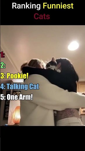 Ranking The Funniest Cat Moments Ever 😹 #shorts