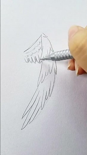 How to draw angel's wings simple drawing tutorial Drawing tutorial Daily content inspiration sea