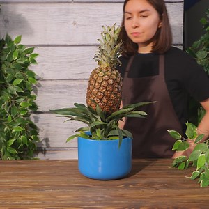 54K views · 139 reactions | Try These Surprising Tips for Growing and Caring for Plants! | Green Bean | Facebook