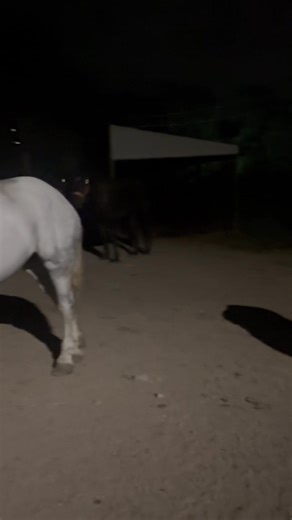 Kenneth Jones on Reels