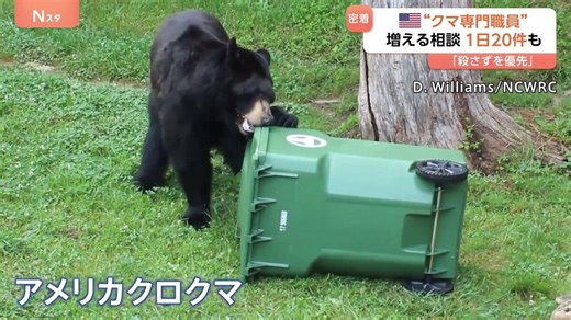 住宅街にクマが現れる町　アメリカの「クマ対策専門」州職員に密着　住民守る訓練も | TBS NEWS DIG