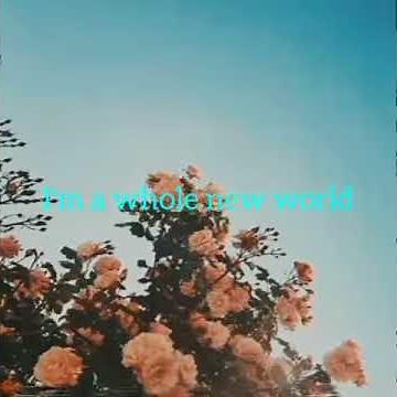 A Whole New World Lyrics
