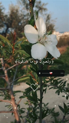 ٣ أبريل ٢٠٢٦