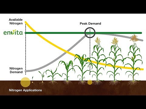 The Science Behind Envita