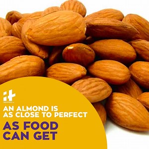 50K views · 426 reactions | Ancient #Ayurvedic Practitioners have believed almonds are highly nutritious, capable of improving brain capacity and intellectual ability. An Almond is as close to perfect as any food can get. | Indiatimes | Facebook