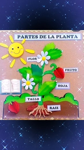 Ideas creativas para maquetas de plantas y sus partes
