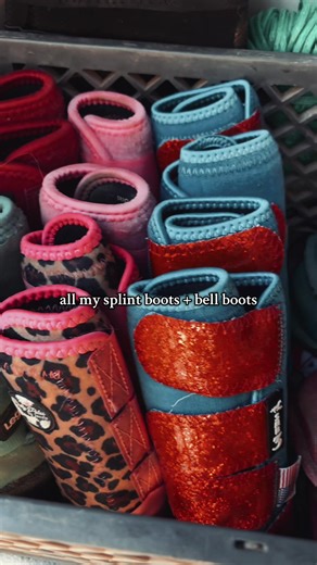 Horse Tack Room Tour: Essentials for Equestrian Care