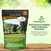 PC2.0 Penncross Creeping Bent Grass Seed -  Putting Green Seed