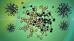 Elderberry, Drupe, Edible Fruit. Free Stock Video