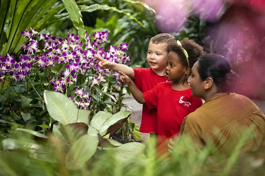 Careers at Singapore American School - Work at SAS