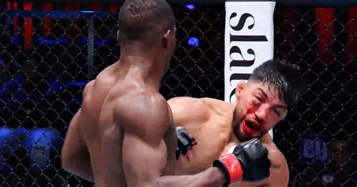 Dana White's Contender Series Week 10 Highlights