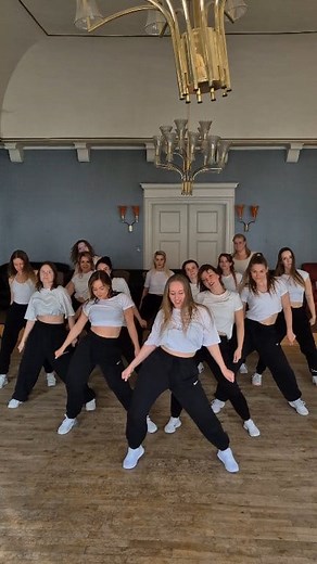 77K views · 1K reactions | Don't cha wish your girlfriend was hot like me?❤️‍ #dancers #dancechallenge #dancefam #foryou #fyp | Streetdance Neustrelitz | Facebook