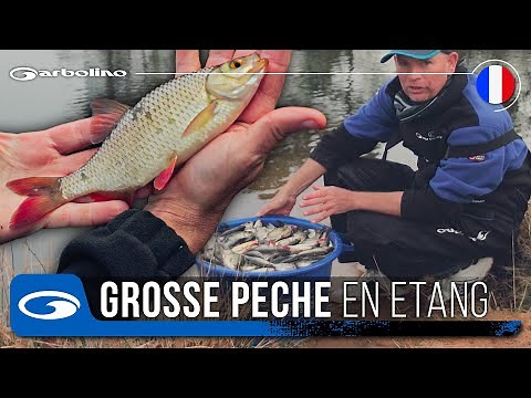 TRÈS GROSSE PÊCHE de GARDONS en Étang 🎣! Trucs et Astuces pour bien débuter la Saison avec Garbolino