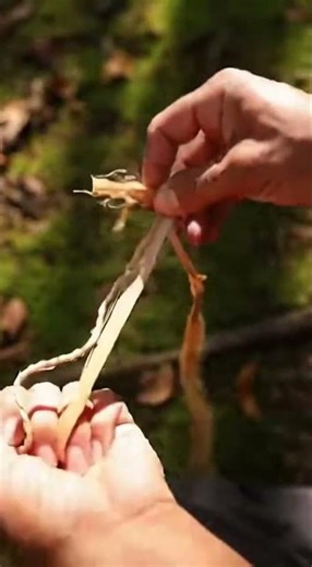 Making Rope From Bark | Primitive Cordage Skills