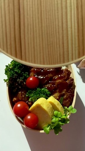 Delicious Tonkatsu Bento Lunch Ideas for Besties