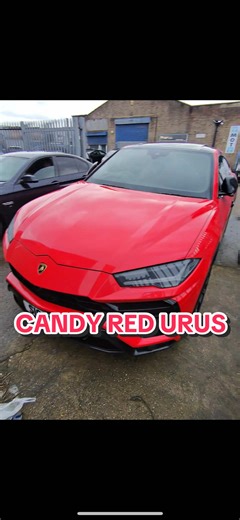 Luxury Cars and Food Reviews: A Unique POV Experience