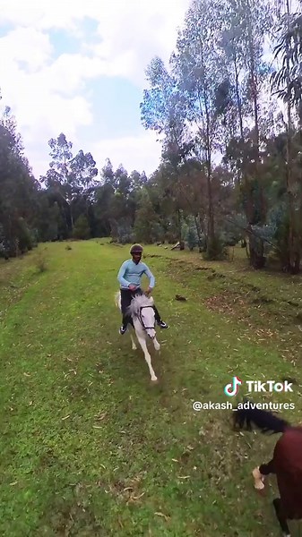 Discover Equestrian Adventures in Sululta, Ethiopia