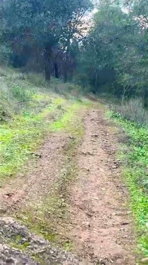 Virtual Running 4K – Fuente de Piedra Scenic Trail 🌿 | Treadmill Run POV