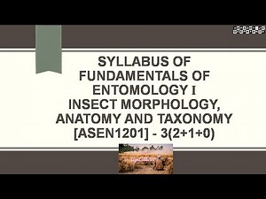Syllabus of FUNDAMENTALS OF ENTOMOLOGY I | INSECT MORPHOLOGY, ANATOMY AND TAXONOMY