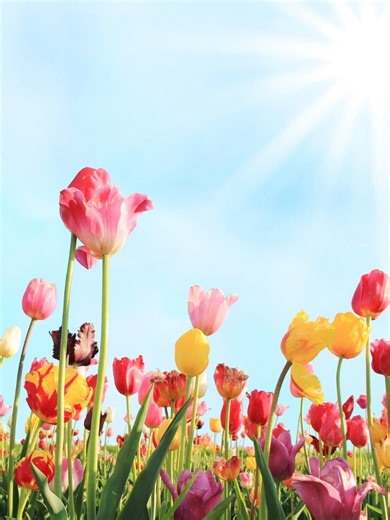 Spring Housing Market in Oro Valley AZ Oro Valley Real Estate https://www.orovalleyrealestate.com #orovalleyrealestate #orovalleyhomesforsale #orovalleyrealtor #orovalley #orovalleyaz