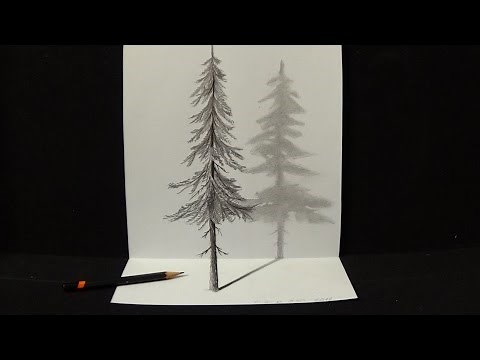 How to Draw Pine Tree - Drawing 3D Illusion with Graphite Pencil - Trick Art