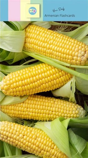 Ե, ե [ ye ] – եգիպտացորեն [ yegiptatsoren ] = Corn | Armenian Flashcards | Reading Practice