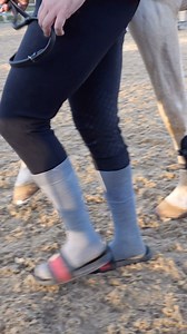 55K views · 646 reactions | Guess who  #horse #equestrian #showjumping #horseriding #horselover #pony | Jumping with Ivy | Facebook