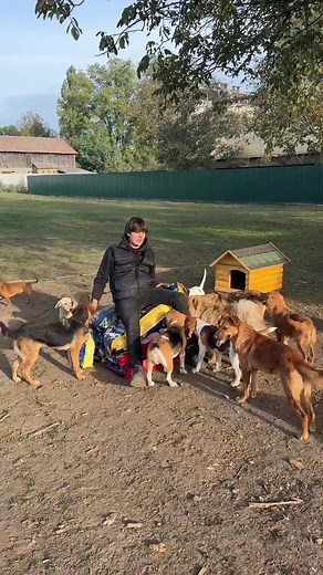 Da li ste znali da kod @Animal rescue Nikola ima preko 100 kuca pored Bekija? Svaka ima svoje ime, vole da se maze i čekaju vlasnika koji će ih udomiti! Ipak, ide zima i zato je bitno da im obezbedimo kućice što pre. Zajedno sa @A1 Srbija smo jutros odneli prvu od deset zimskih kućica, kao i hranicu! Ako želiš da doprineseš ili udomiš kucu javi se Nikoli