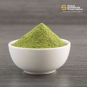 Natural Moringa Leaf Powder, Color : Green at Best Price in delhi - ID: 6717919