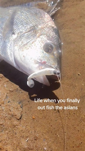 Ultimate Bream Fishing in Australia: Tips and Techniques